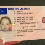 drivers license hologram for sale